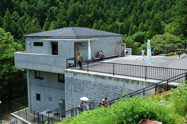 DSC_2432 (2)_00003.jpg