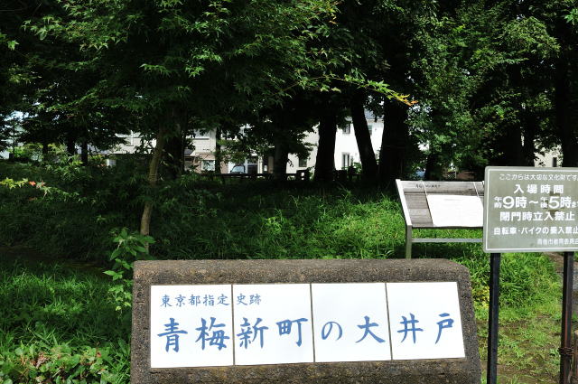 DSC_2462 (2)_00003.jpg