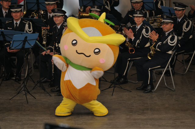 DSC_2487 (2)_00001.jpg