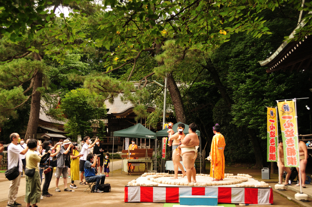 DSC_2649 (2)_00003.jpg