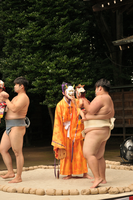 DSC_2650 (2)_00003.jpg
