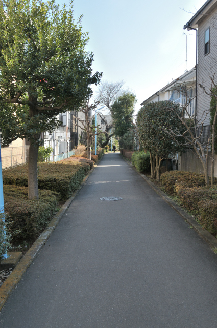 DSC_2739 (2)_00001.jpg