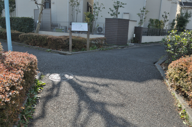 DSC_2740 (2)_00001.jpg
