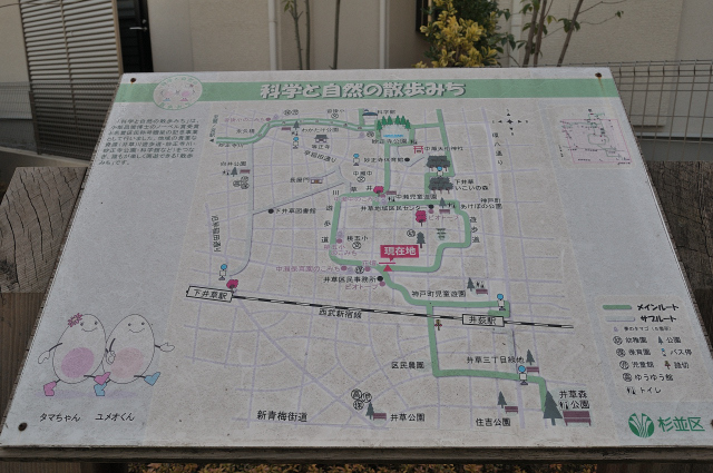 DSC_2741 (2)_00001.jpg