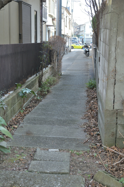 DSC_2744 (2)_00001.jpg