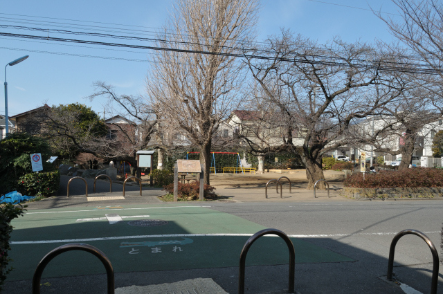 DSC_2748 (2)_00001.jpg