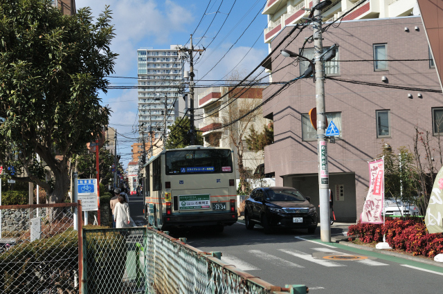 DSC_2815 (2)_00001.jpg
