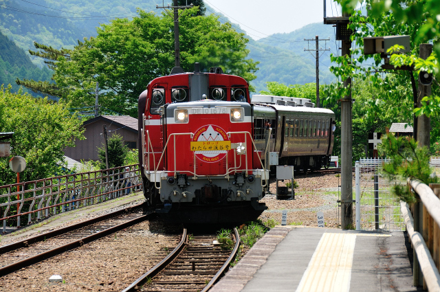 DSC_2874 (2).jpg