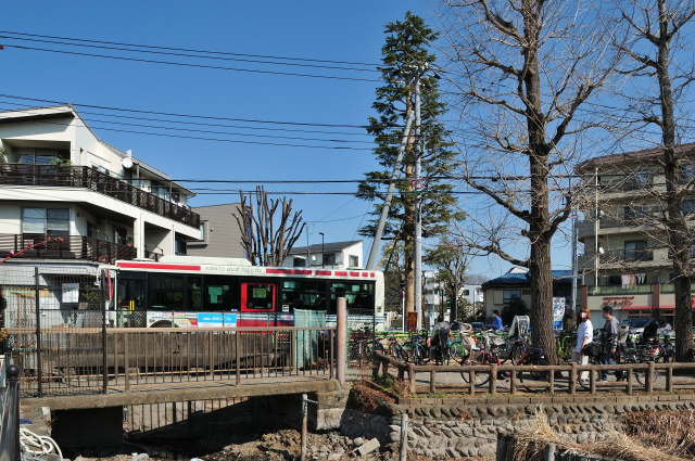 DSC_2883 (2)_00001.jpg