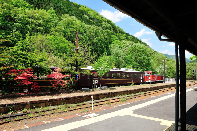 DSC_2979 (2).jpg