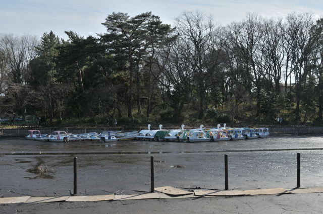 DSC_2980 (2)_00001.jpg