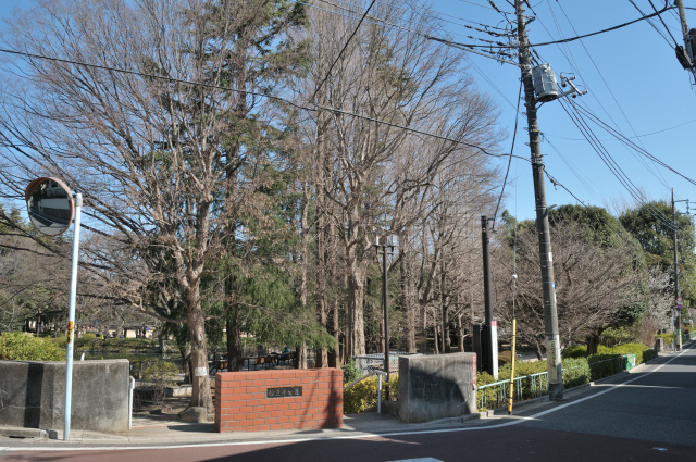 DSC_2991 (2)_00001.jpg