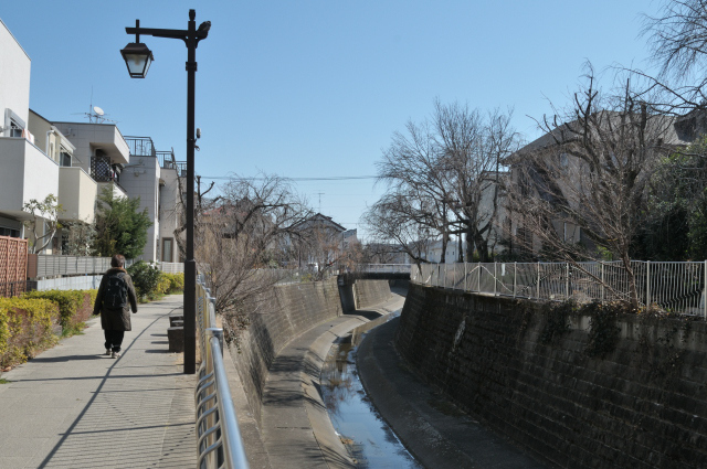 DSC_2994 (2)_00001.jpg