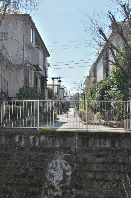 DSC_2995 (2)_00001.jpg
