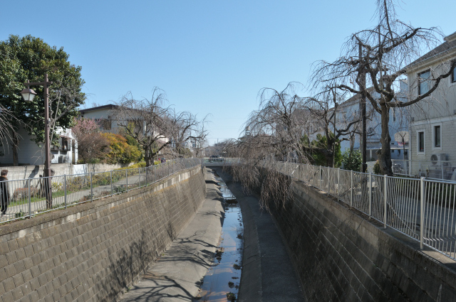 DSC_2997 (2)_00001.jpg