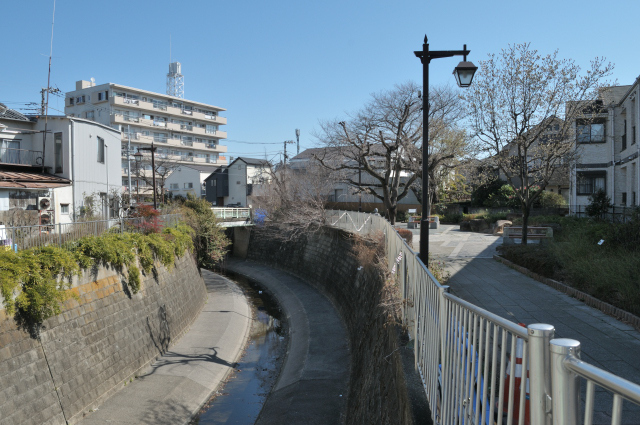 DSC_2998 (2)_00001.jpg