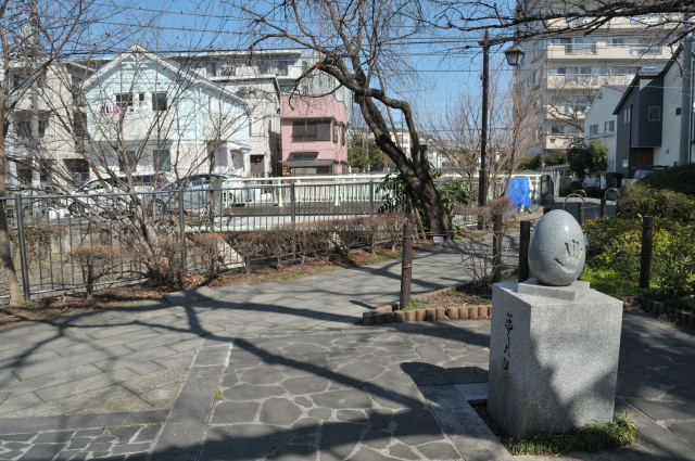DSC_2999 (2)_00001.jpg