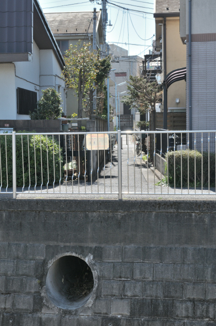 DSC_3005 (2)_00001.jpg