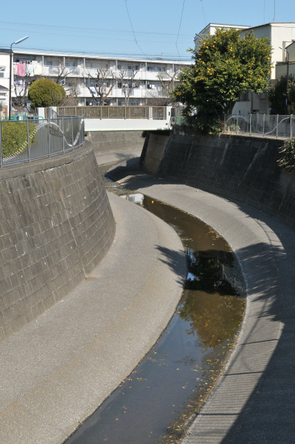 DSC_3006 (2)_00001.jpg