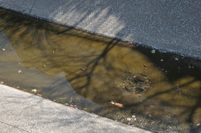 DSC_3007 (2)_00001.jpg