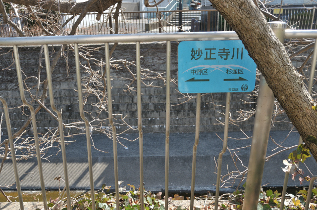 DSC_3011 (2)_00001.jpg