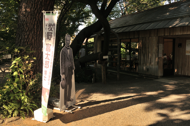 DSC_3054 (2)_00003.jpg