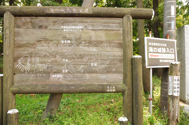 DSC_3559 (2)_00001.jpg