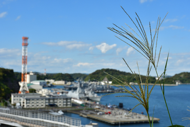 DSC_3657_001.JPG