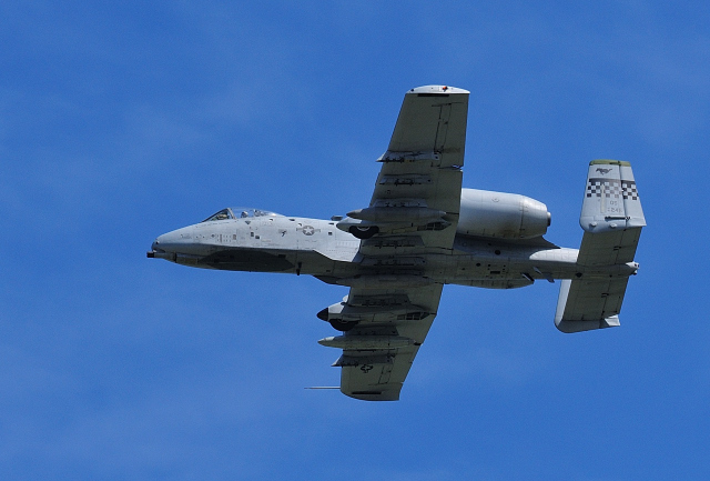 DSC_3704 (2)_00001.jpg