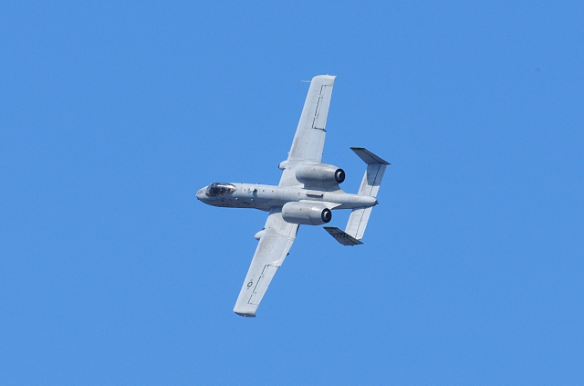 DSC_3717 (2)_00001.jpg