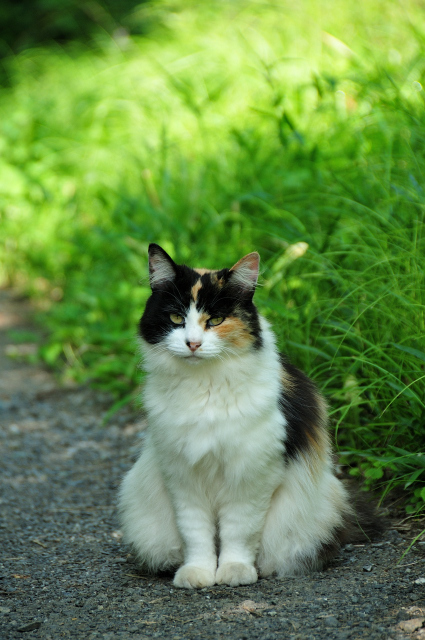 DSC_3842_00001.jpg