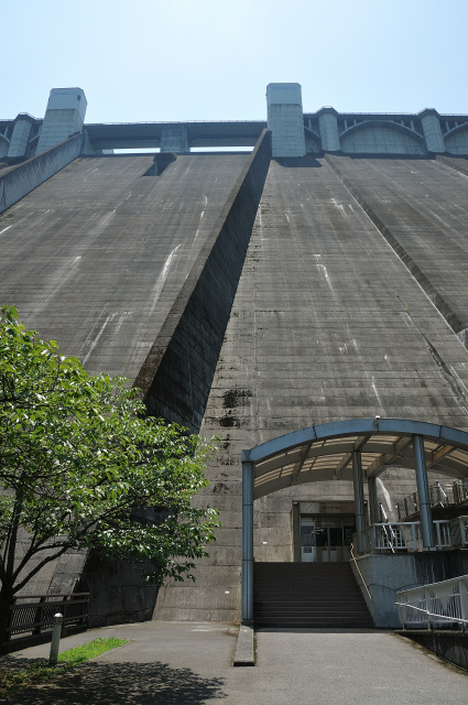 DSC_3872 (2)_00001.jpg