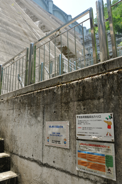 DSC_3873 (2)_00001.jpg
