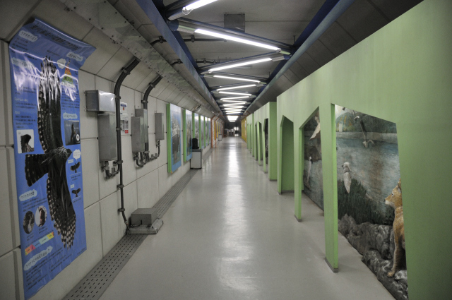DSC_3875 (2)_00001.jpg