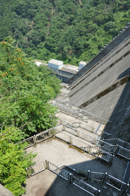 DSC_3884 (2)_00001.jpg
