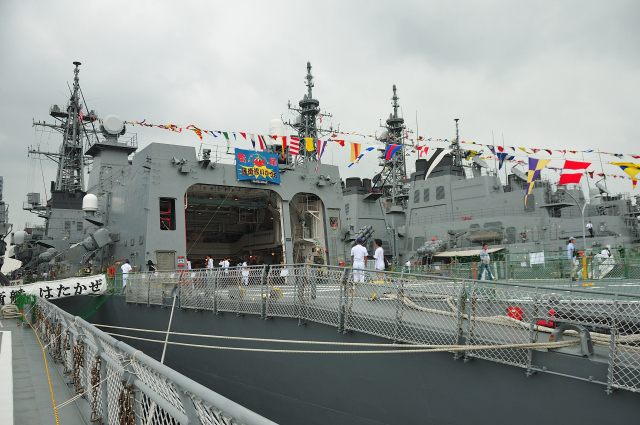 DSC_3896 (2)_00001.jpg