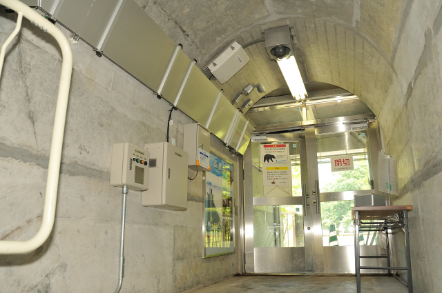 DSC_3906 (2)_00001.jpg
