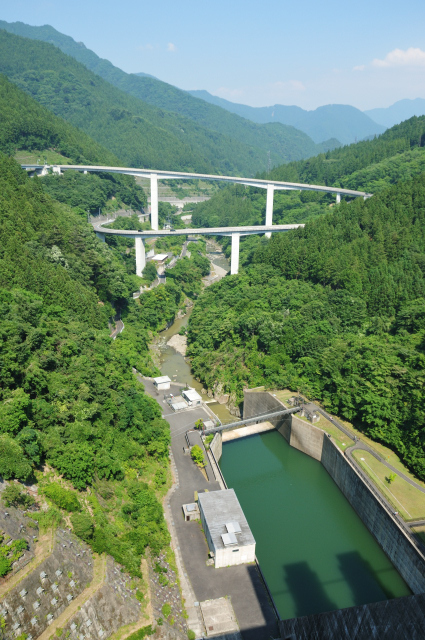 DSC_3925 (2)_00001.jpg