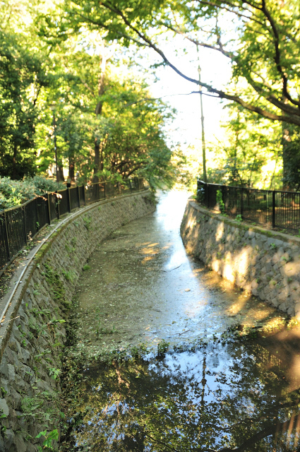 DSC_4054 (2)_00001.jpg