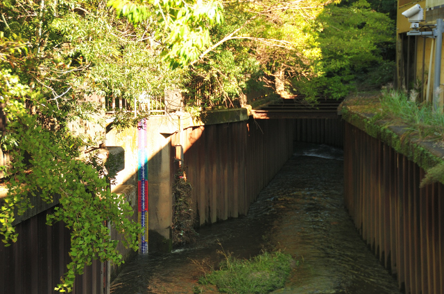 DSC_4055 (2)_00001.jpg