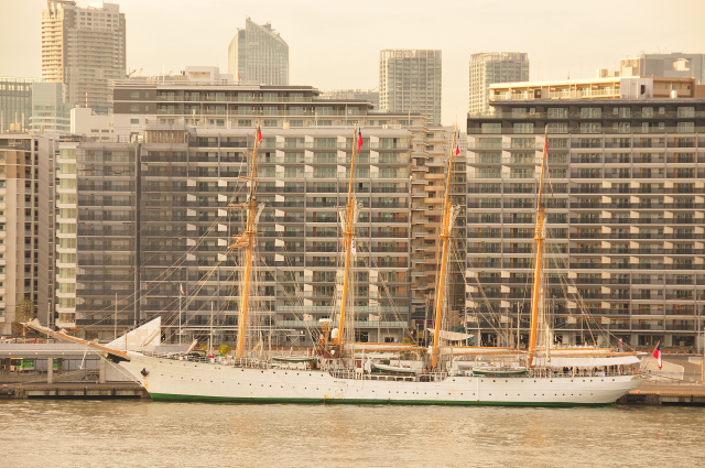 DSC_4119 (2)_00001.jpg