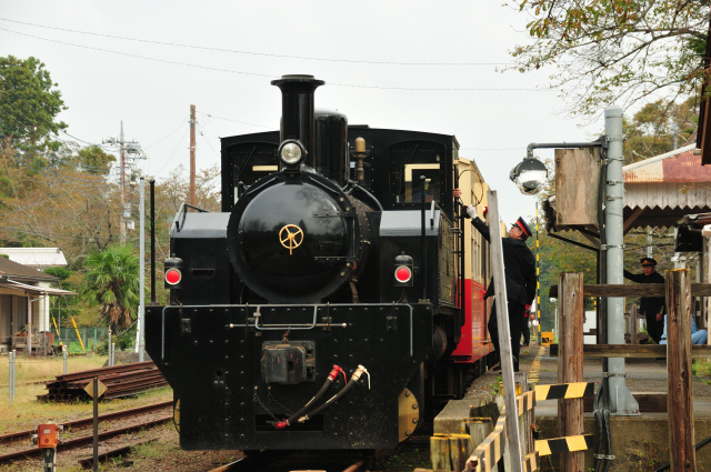 DSC_4120 (2)_00001.jpg