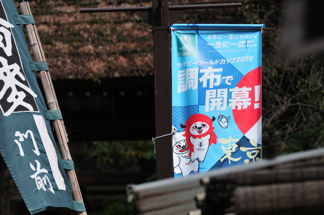 DSC_4203 (2)_00001.jpg