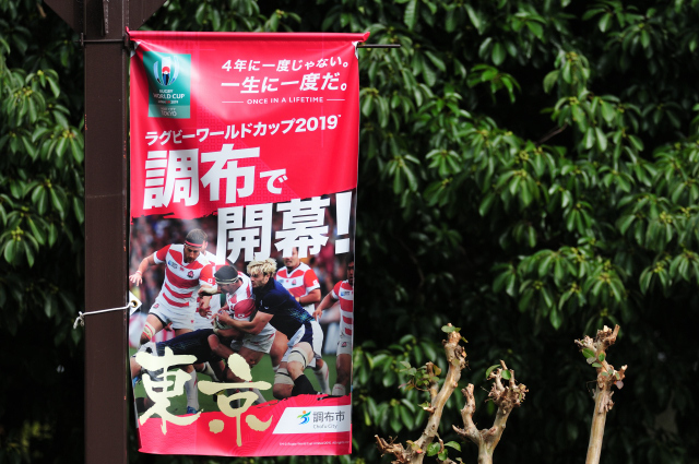 DSC_4204 (2)_00001.jpg