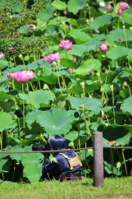 DSC_4217_001.JPG