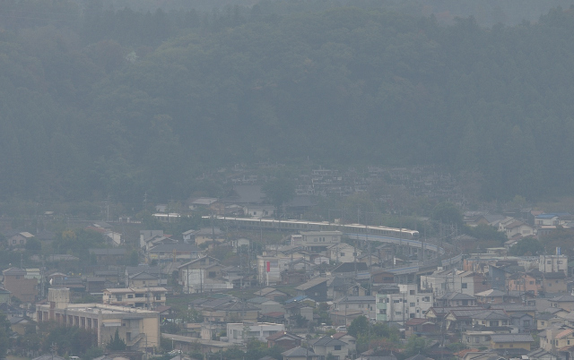 DSC_4240 (2)_00001.jpg