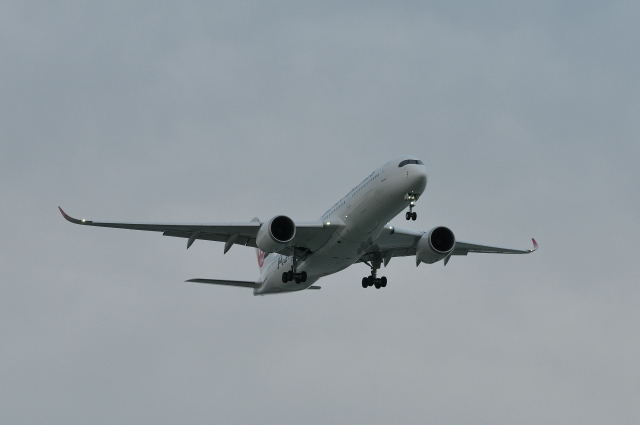 DSC_4246 (2)_00001.jpg