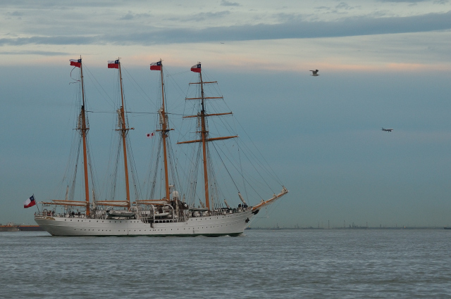 DSC_4310 (2)_00001.jpg
