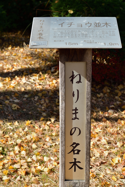 DSC_4312_001.JPG