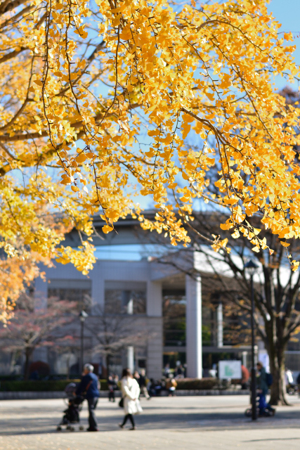 DSC_4320_001.JPG